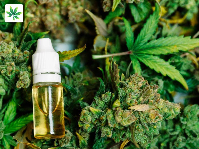 Can I Make CBD Oil At Home_