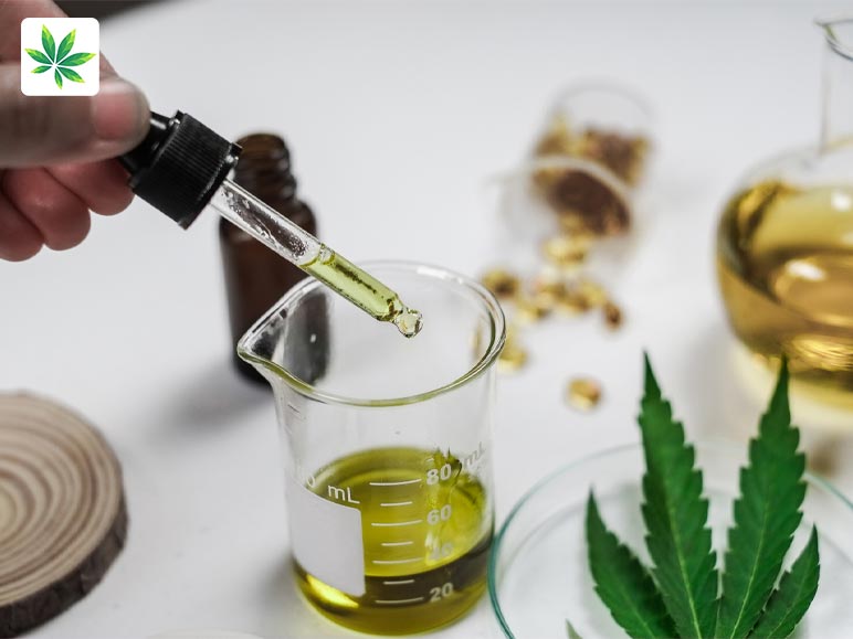 How Is CBD Oil Made_ 2